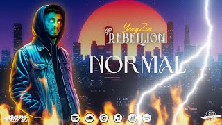 Young Zow  NORMAL Hook By Lil eytch Official Lyrics Video [upl. by Vanya]