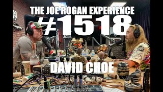 Joe Rogan Experience 1518  David Choe [upl. by Acsirp]