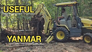 Yanmar Backhoe digs out a stump CBL40 39hp diesel loader backhoe  like a Deere 110 or Kubota L39 [upl. by Annahsit]