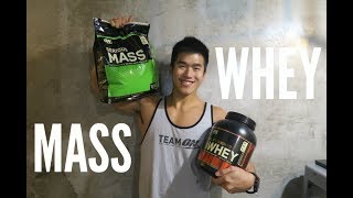 WHEY PROTEIN or MASS GAINER Tips for Beginner [upl. by Anerdna]