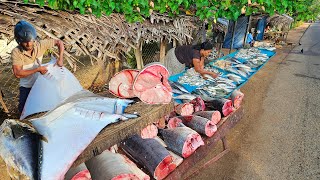 Amazing Special Village Most Satisfying Super Streets Fish markets [upl. by Solegna312]