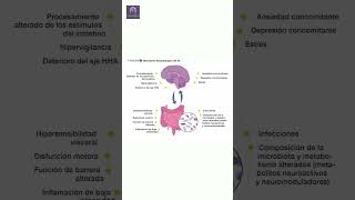 ¿Sabías que tu intestino es el quotsegundo cerebroquot 🧠💡 bienestar neurociencia neurologia [upl. by George825]