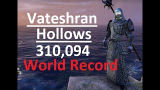 Vateshran Hollows  310094 World Record  Magblade  22min20  Build and Info in description [upl. by Leboff]