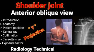 Shoulder joint  Anterior oblique view  Y projection  By BL Kumawat [upl. by Jaynell997]