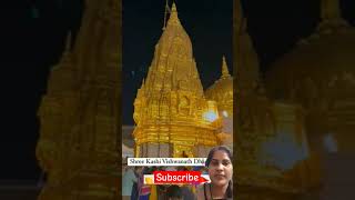 Kashi Vishvanath Temple kashivishwanath kashi travel ytshorts ytshortsvideo shivshankar [upl. by Ahsyekal]