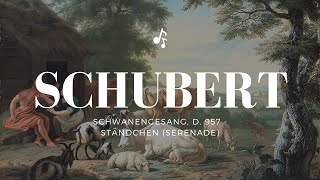 一小時版本）舒伯特  小夜曲  Schubert Schwanengesang D 957  Ständchen Serenade [upl. by Arriaes432]