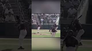 When Randy Johnson’s pitch hit a bird 😧 [upl. by Nroht]