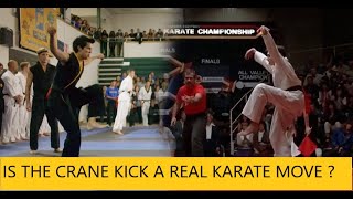 Is The Crane Kick A Real Karate Move [upl. by Maren]