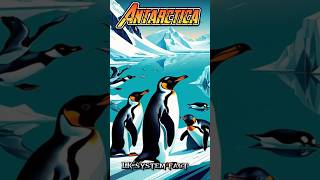 Antarctica continent🤯😱 youtubeshorts animalfacts viralvideo [upl. by Birchard]