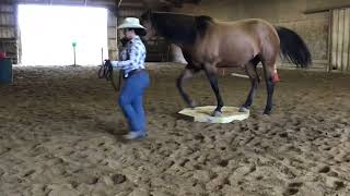 RayLena Bevington amp Katori Dunit Slick Sept Ranch Ground Handling [upl. by Thom345]