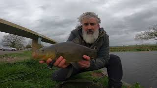 Targeting tench on the Tiverton Canal [upl. by Aroz]