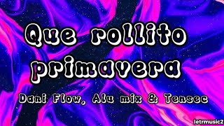 🏳️‍⚧️ Que rollito primavera  Dani Flow Alu mix amp Tensec LETRA [upl. by Tehcac]