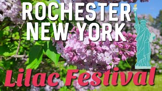 ROCHESTER NEW YORK  Lilac Festival [upl. by Ydnyl664]