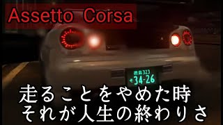 【Assetto Corsa】俺はただ速さを求めているだけなんだ [upl. by Areivax408]