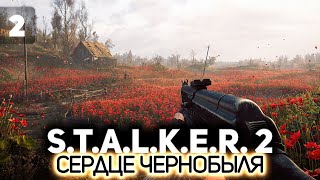 Маковое поле ☢️ STALKER 2 Heart of Chornobyl PC 2024 2 [upl. by Tnemelc]