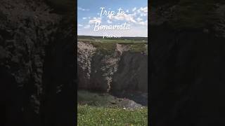 Preview trip to Bonavista travel youtubeshorts outdoors puffins foryou r [upl. by Yoong]