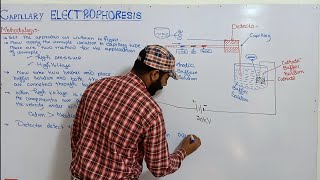 Methodology of capillary electrophoresis  CE  types of Electrophoresis  Electrophoresis [upl. by Radborne]