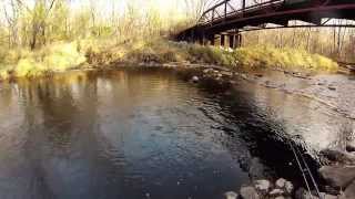 Fly Fishing the Root River Wisconsin [upl. by Zorah513]