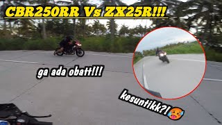 Login  CBR250RR Vs ZX25R  MOTOVLOG INDONESIA [upl. by Onairam493]