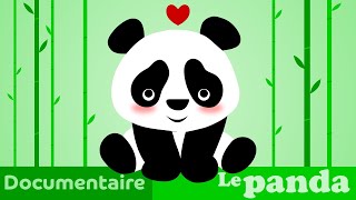 LE PANDA 🐼 documentaire animalier pour maternelle [upl. by Alarick]