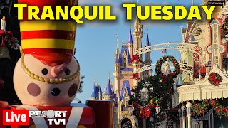 🔴Live Tranquil Tuesday  A Magic Kingdom Holiday Afternoon  Walt Disney World Live Stream [upl. by Kokoruda763]