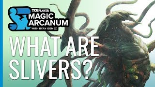 What are Slivers  Magic Arcanum [upl. by Cloe]