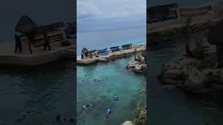 Snorkeling in Cozumel snorkeling [upl. by Vaientina]