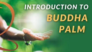 Introduction to Buddha Palm  Activate Healing Energy in Your Hands [upl. by Perrie]