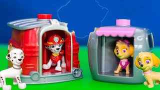 Exploring the Paw Patrol Marshall and Skye Pup to Hero Changers [upl. by Haeluj]