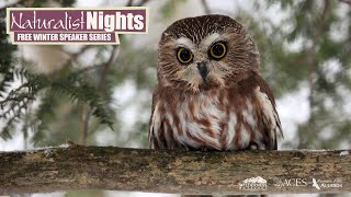 Small Mountain Owls with Scott Rashid [upl. by Yot]