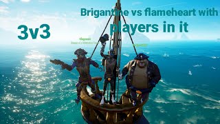 3v3 brigantine vs flameheart with players in it 💀😂 [upl. by Eirene]