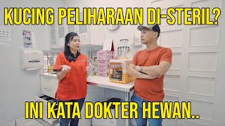 KUCING PELIHARAAN DISTERIL INI KATA DOKTER HEWAN [upl. by Meehan]