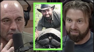 Forrest Galante Rediscovered Extinct Galapagos Tortoise  Joe Rogan [upl. by Saraiya]