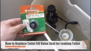 Fix a Leaking Toilet for under 3 [upl. by Mairym]