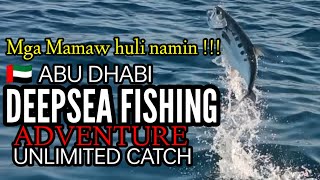 🇦🇪 ABU DHABI DEEPSEA FISHING ADVENTURE  UNLIMITED CATCH  UNLIMITED STRIKE althomschannel like [upl. by Eenehs846]