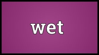 Wet Meaning [upl. by Qiratla]