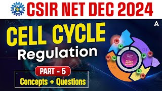 CSIR NET Dec 2024 Life Science  Cell Cycle Regulation with PYQs  Part 5  CSIR NET Adda247 [upl. by Rich670]