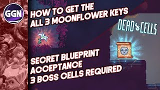 How to get the 3 Moonflower Keys and get the Acceptance Mutation  Secret Blueprint  Dead Cells [upl. by Fruma]