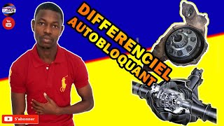 COMMENT DEMONTER UN DIFFERENTIEL AUTOBLOQUANT [upl. by Enala300]