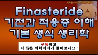 세르톨리Sertoli 레이디히Leydig cell세포 5areductase inhibitor  finasteride 기전과 적응증 [upl. by Siusan]