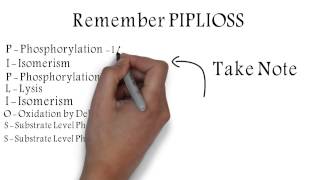 Glycolysis Metabolic Pathway Mnemonic [upl. by Patricia]