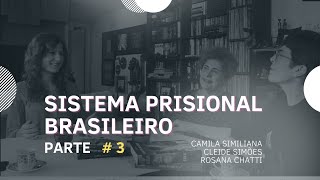 Sistema Prisional Brasileiro  Aula 33 [upl. by Weinstein]