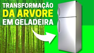 VEJA COMO UMA ARVORE VIRA UMA GELADEIRA  COMO É FEITO O AÇO [upl. by Refinnaej187]