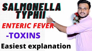 SALMONELLA TYPHI MICROBIOLOGY ENTERIC FEVER  Typhoid fever  Salmonella microbiology [upl. by Atkins]