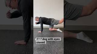 Kinesthesia enhancing eyes closed bird dog exercise ￼ [upl. by Gardiner]