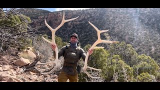 Bone Zone Part 2  Elk Shed Hunting 2024 [upl. by Eirolav]