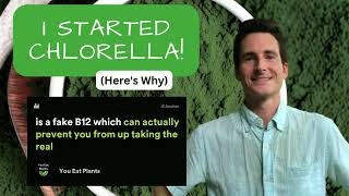 I STARTED Chlorella After I Stopped Spirulina Heres Why [upl. by Marelda]