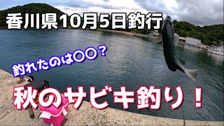 香川県10月5日釣行 秋のサビキ釣り！！サビキで釣れたのは○○？ [upl. by Itak]