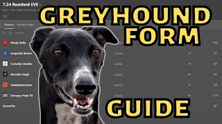 GREYHOUND BETTING  How to read Greyhound form [upl. by Yajet989]