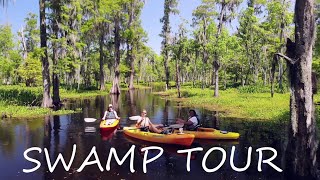 SWAMP TOUR  Manchac Swamp Louisiana [upl. by Ruhnke]